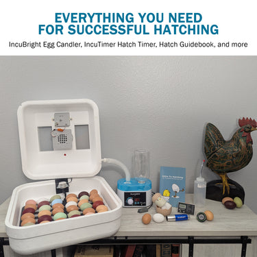 HovaBator 2370 Circulated Air Egg Incubator Deluxe Combo Kit